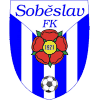 索别斯拉夫 logo
